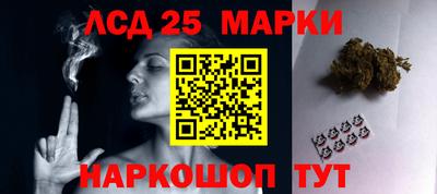 индика Рузаевка