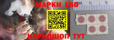 индика Рузаевка