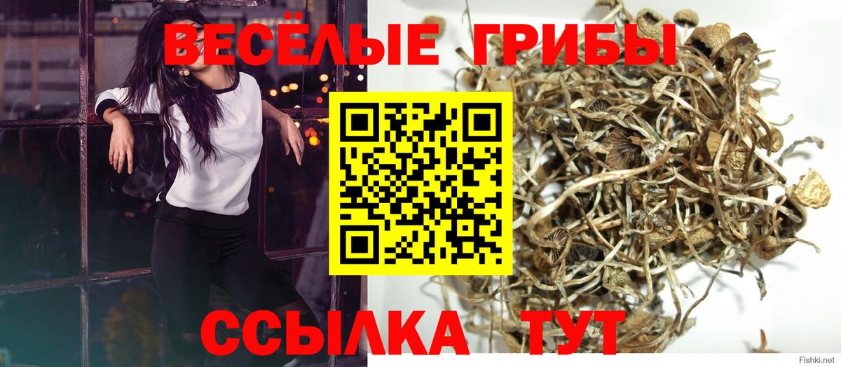 Псилоцибиновые грибы Cubensis  Вход с VPN  Славгород  Галлюциногенные грибы GOLDEN TEACHER 